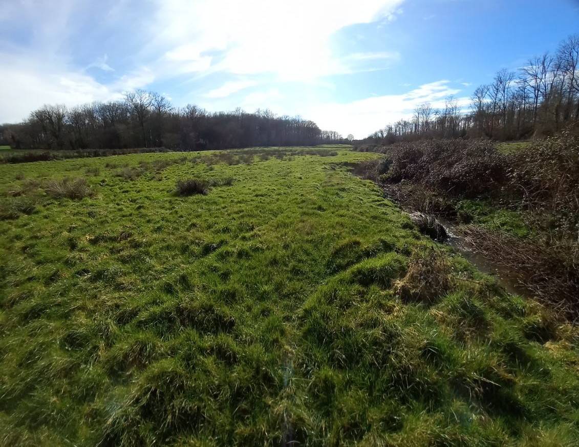 Propri&eacute;t&eacute; id&eacute;ale famille de cavaliers - 3,5 ha