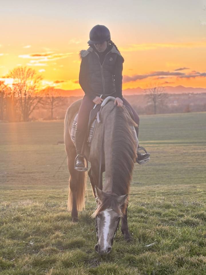 Zenata jument ONC de 4 ans 