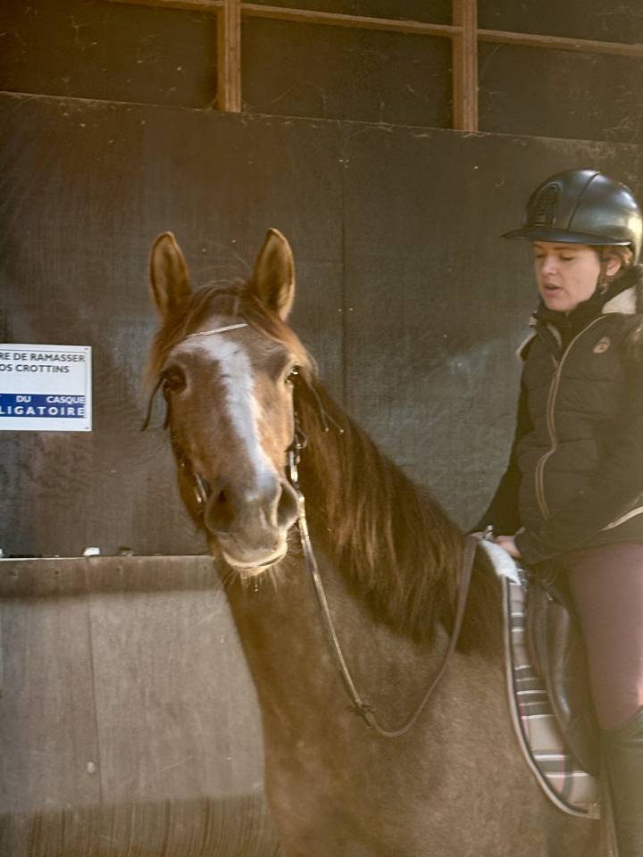 Zenata jument ONC de 4 ans 