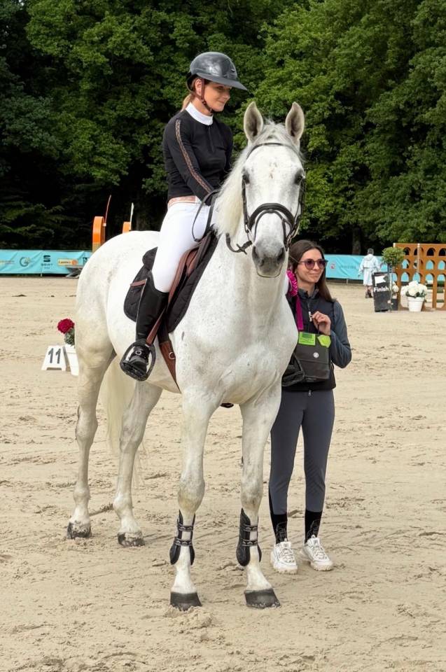 Emir d&rsquo;elle - cheval de sport 