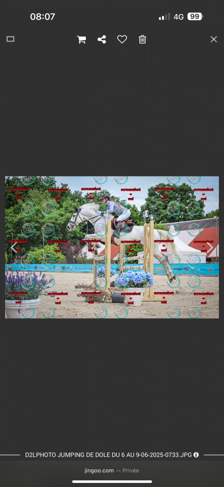 Emir d&rsquo;elle - cheval de sport 