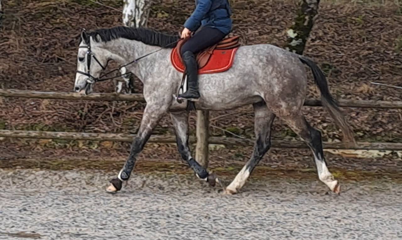 ✨️ TOP 4 ans✨️ chic, moderne, moyens