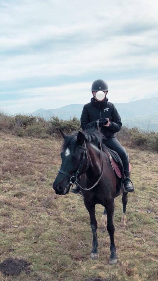 2 juments &agrave; vendre