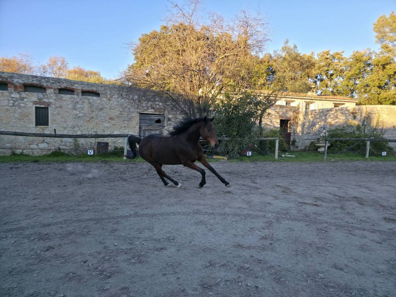 Honge 9 ans Plein Papiers