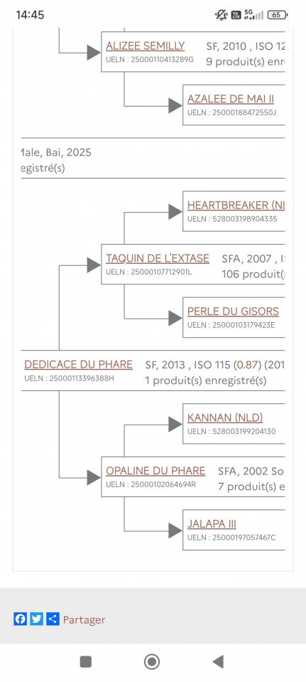 Poulain de 2025 PP SF