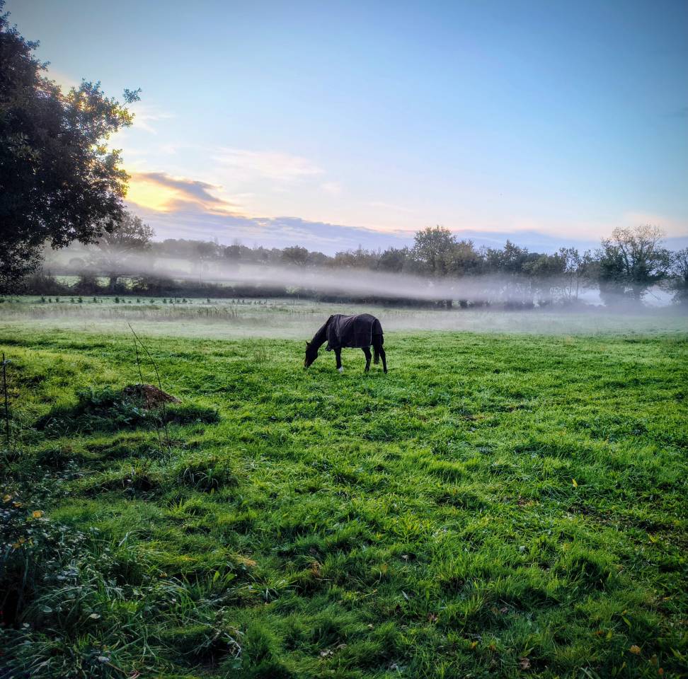 &Eacute;curie des Vergnes &agrave; Saint R&eacute;v&eacute;rend (Vend&eacute;e &ndash; 85)