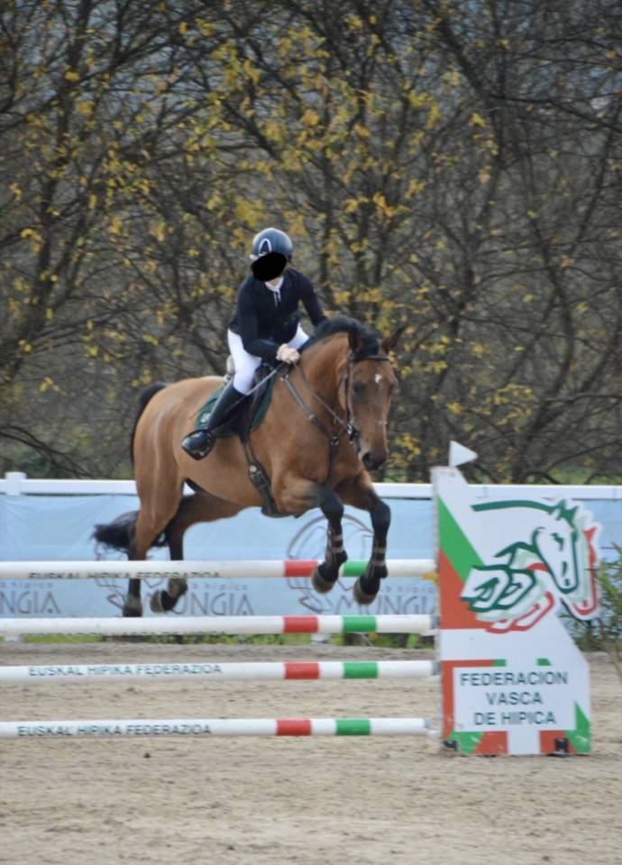 Selle fran&ccedil;ais 9 ans CSO