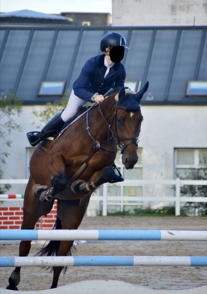 Selle fran&ccedil;ais 9 ans CSO