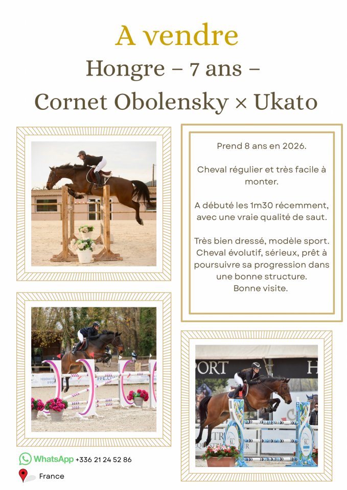 Hongre 8 ans Cornet Obolensky X Ukato