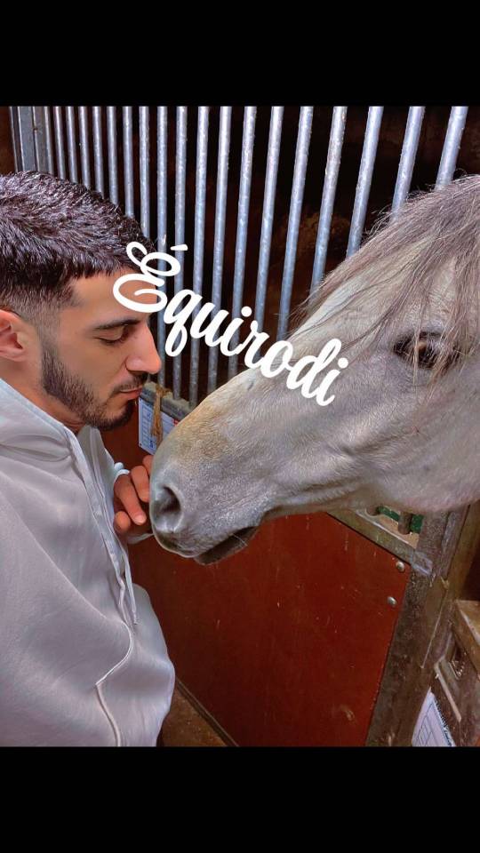 Palefrenier 37 ans cherche poste log&eacute; (dispo de suite)