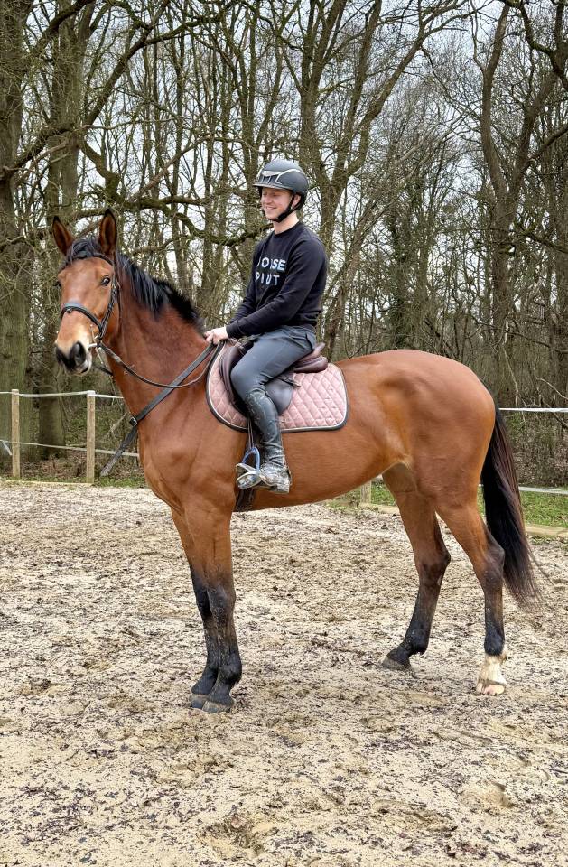 Arr&ecirc;t d&rsquo;activit&eacute; 