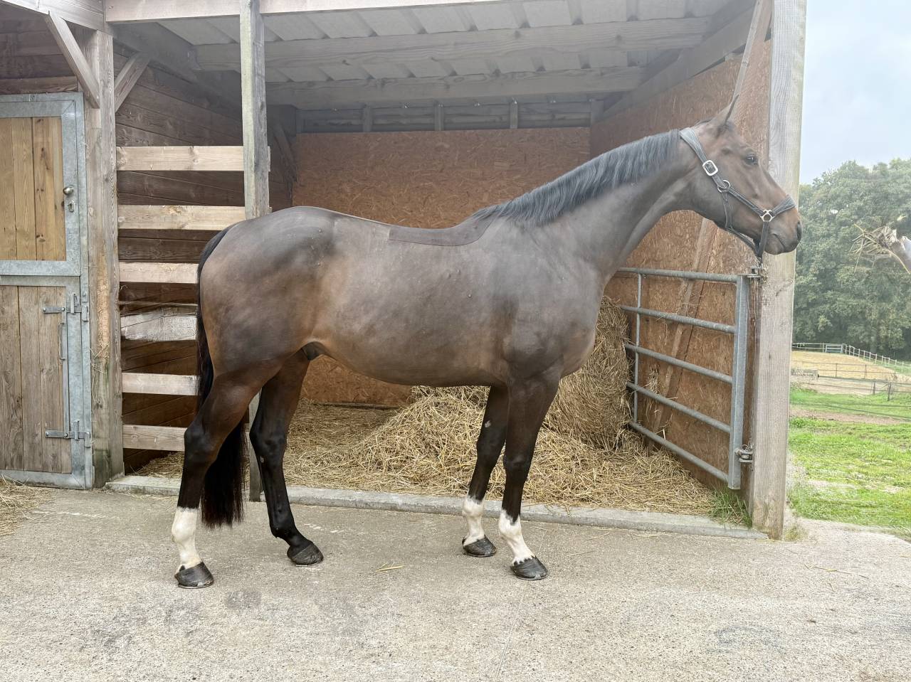 Arr&ecirc;t d&rsquo;activit&eacute; 