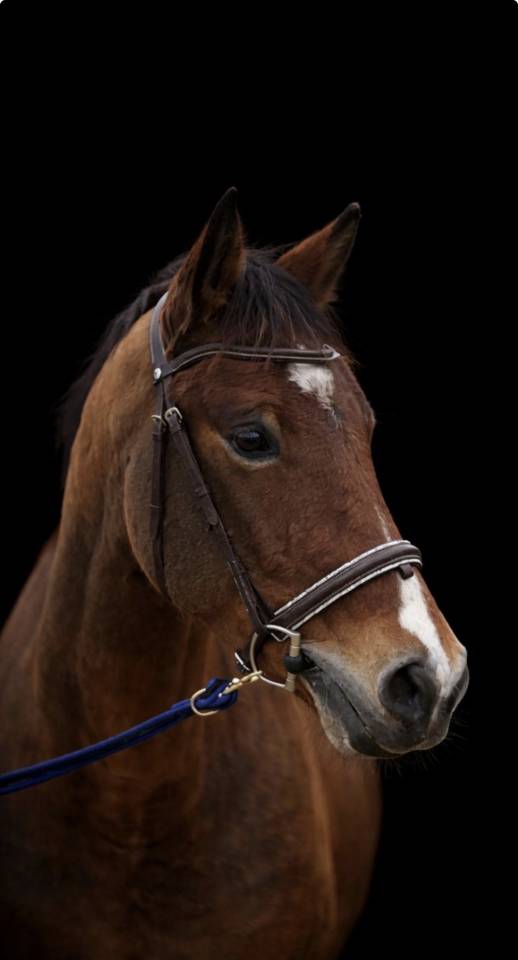 &Agrave; vendre - Mistral 