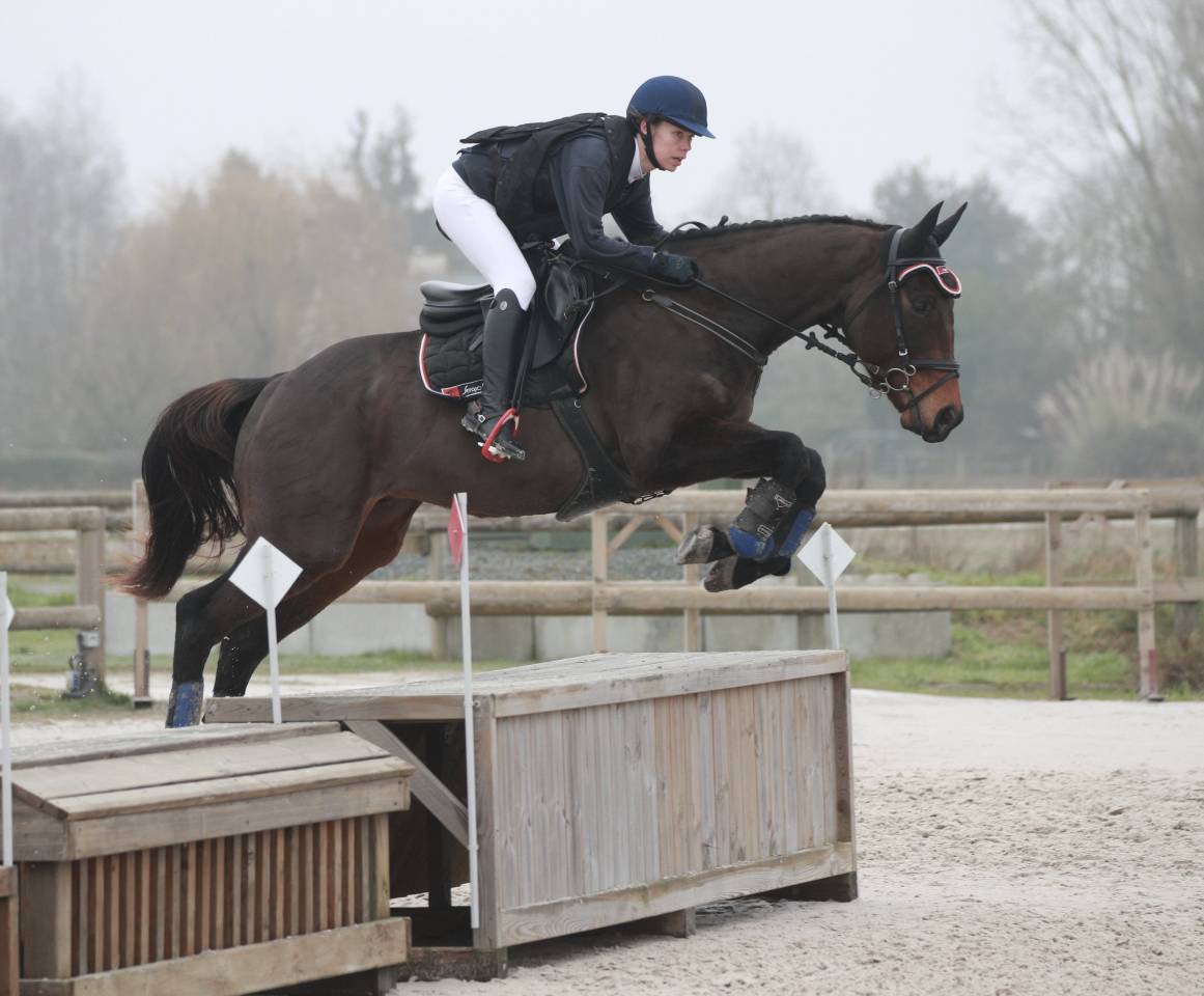 Pur-Sang 8 ans pour CSO/CCE