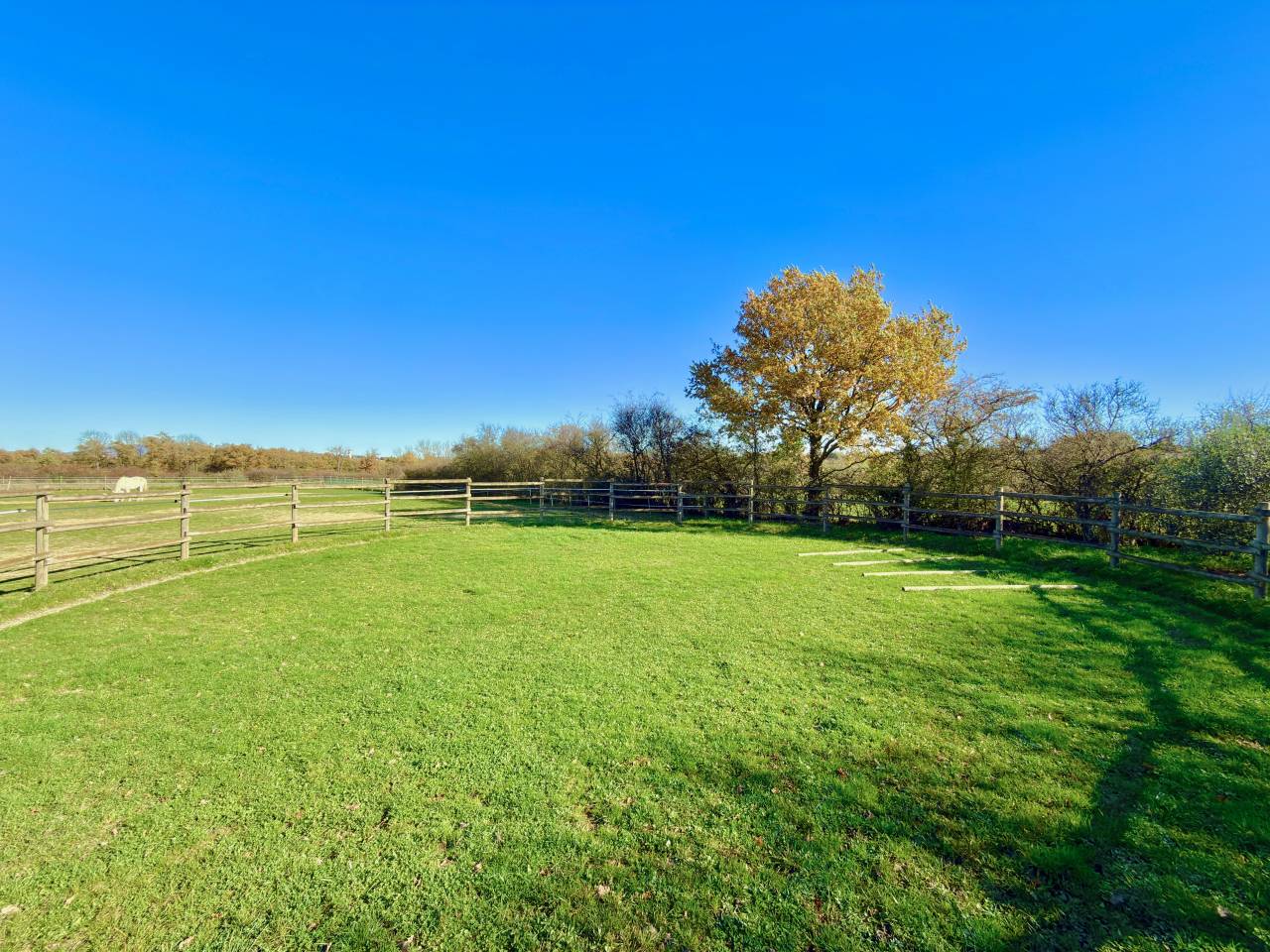 PROPRI&Eacute;T&Eacute; EQUESTRE de  200m&sup2; &Agrave; CHAPONOST