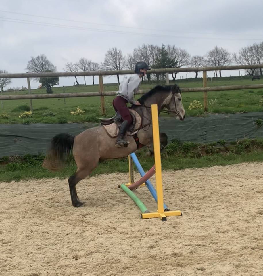 &Agrave; VENDRE &ndash; Poney DSA 6 ans 