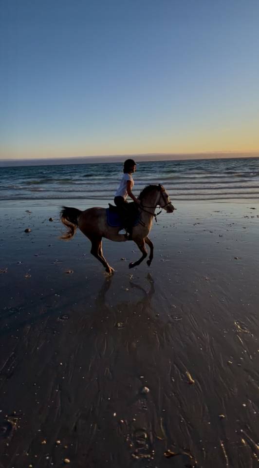 &Agrave; VENDRE &ndash; Poney DSA 6 ans 