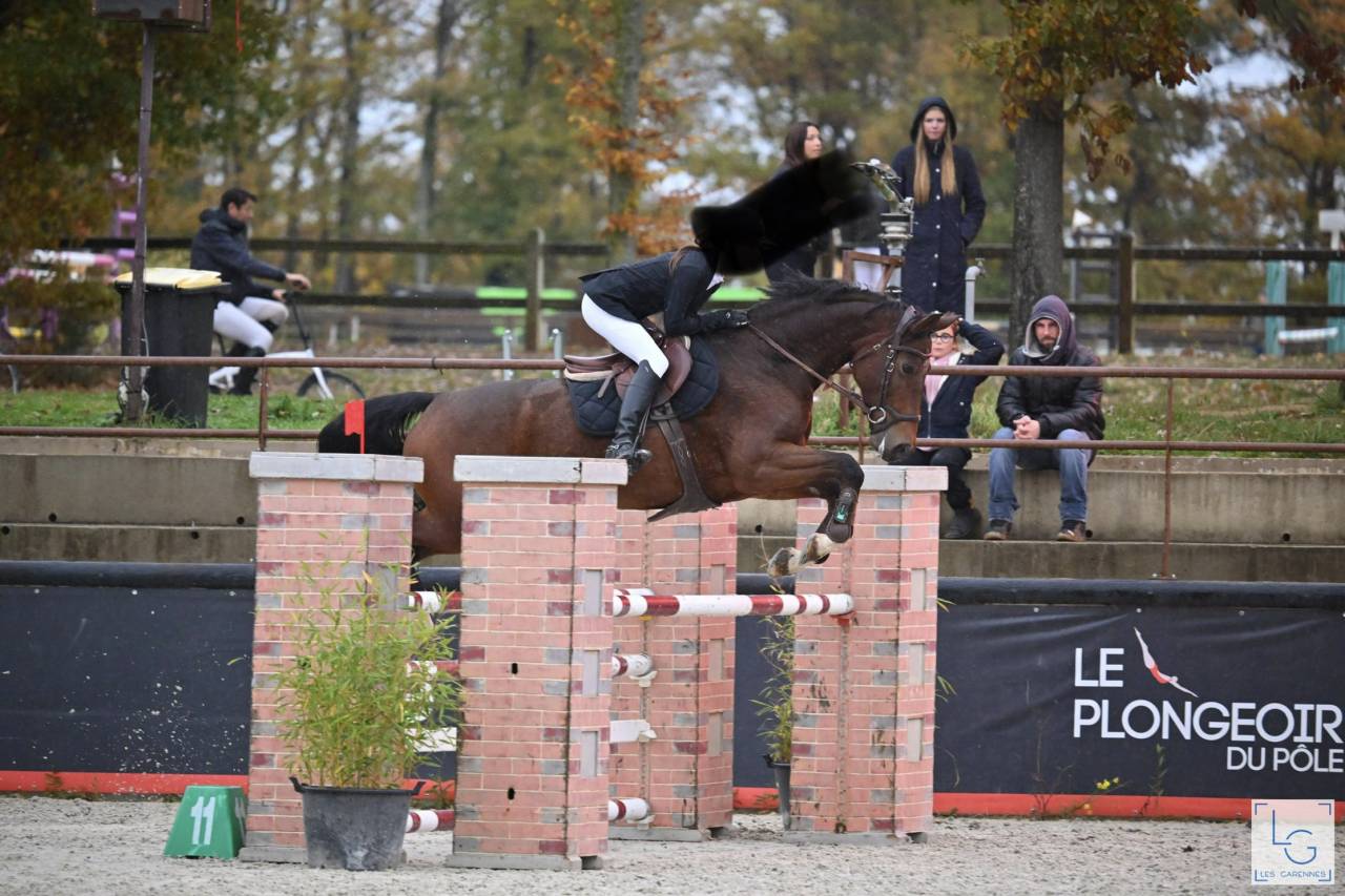 Jument de sport 10 ans 