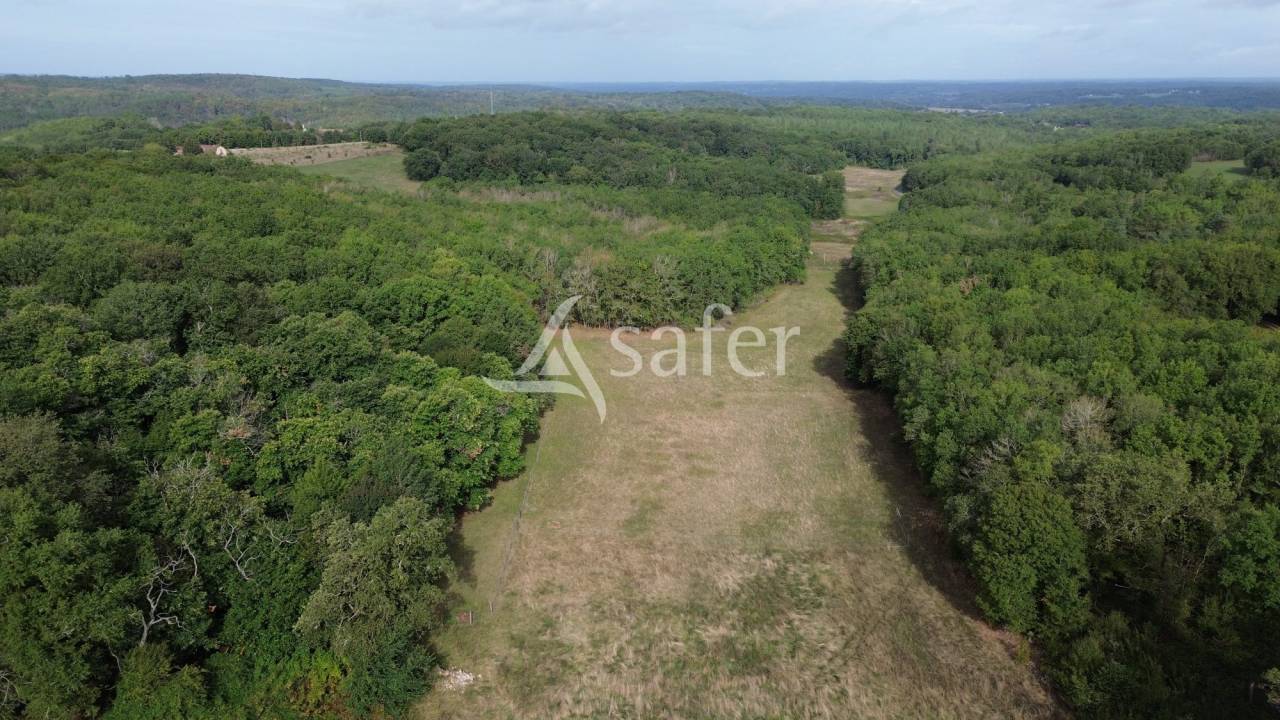 Belle propri&eacute;t&eacute; b&acirc;tie enti&egrave;rement r&eacute;nov&eacute;e sur 26ha avec ma