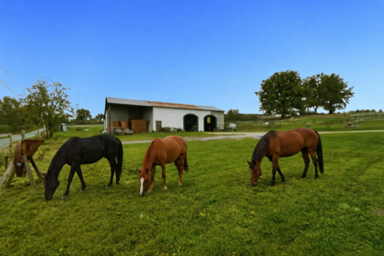 Belle propri&eacute;t&eacute; &eacute;questre sur plus de 7 hectares