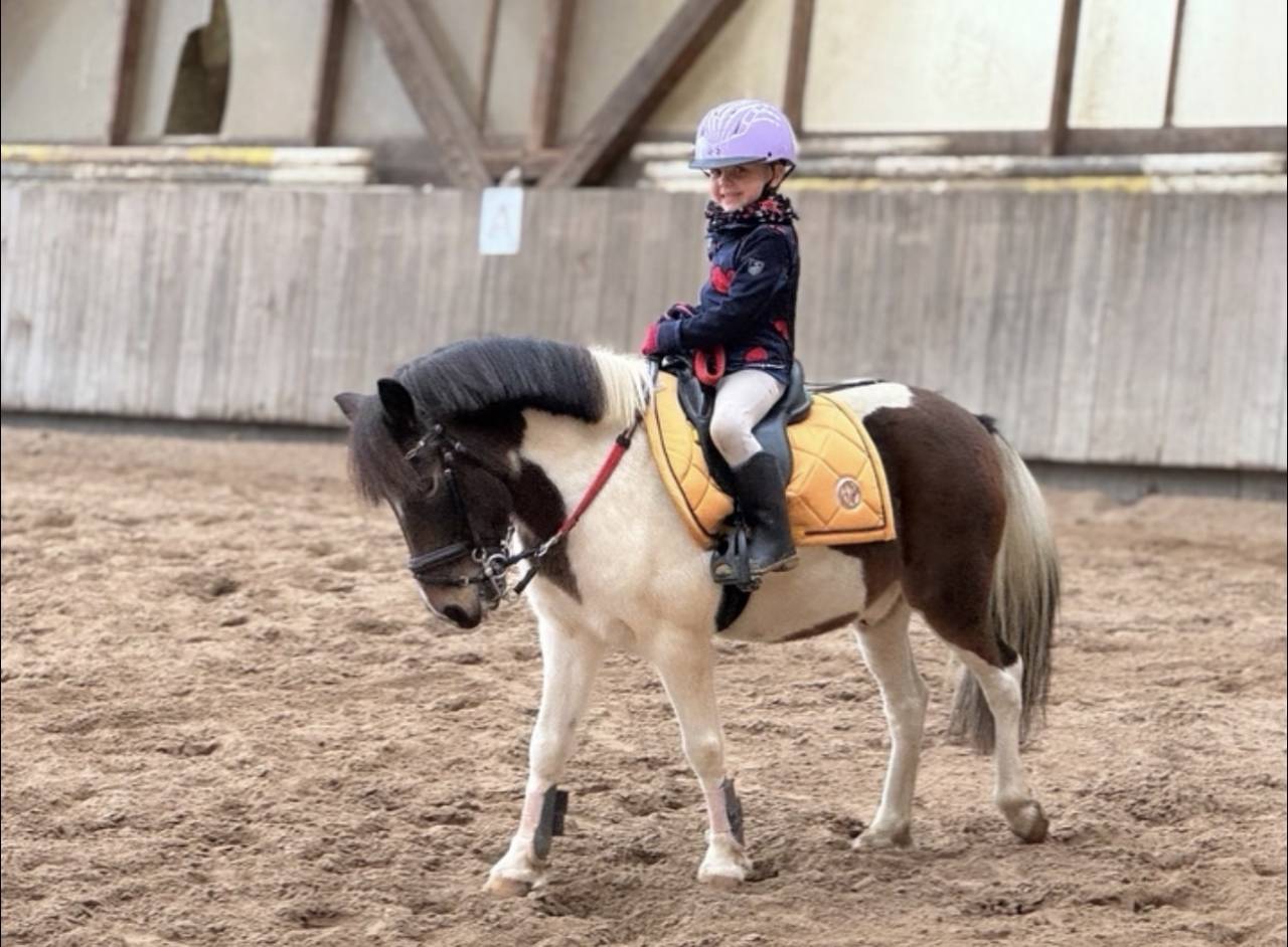 Poney &agrave; louer 