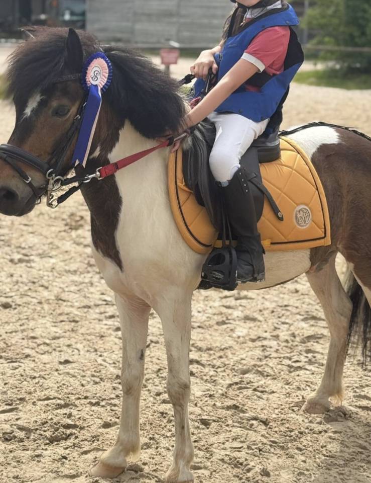 Poney &agrave; louer 