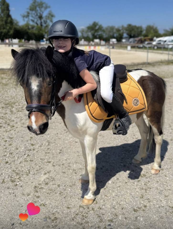 Poney &agrave; louer 