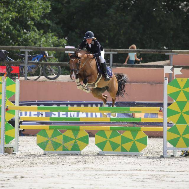 Good Boy d&rsquo;Yl, hongre pfs 146cm