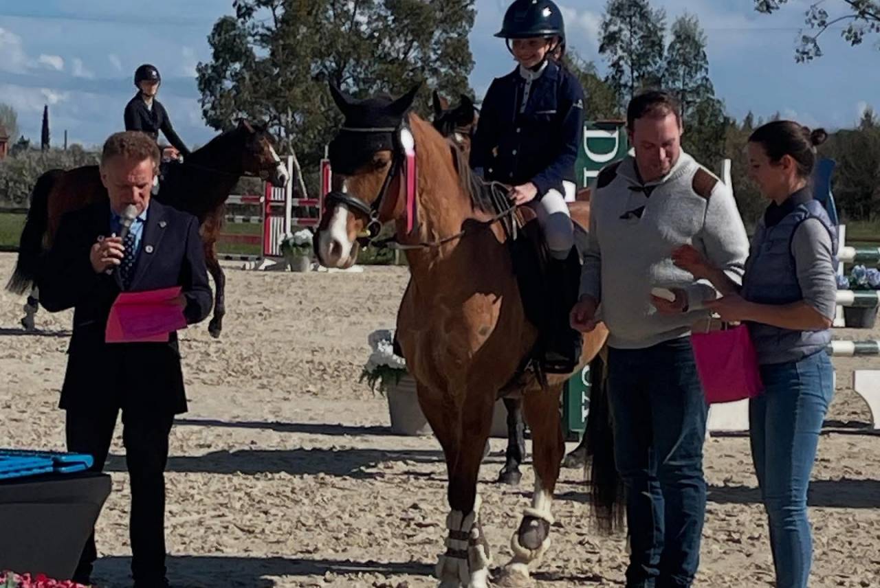 Good Boy d&rsquo;Yl, hongre pfs 146cm