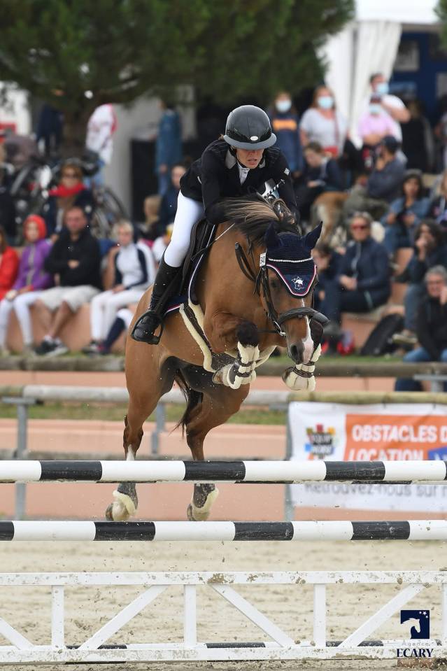 Good Boy d&rsquo;Yl, hongre pfs 146cm