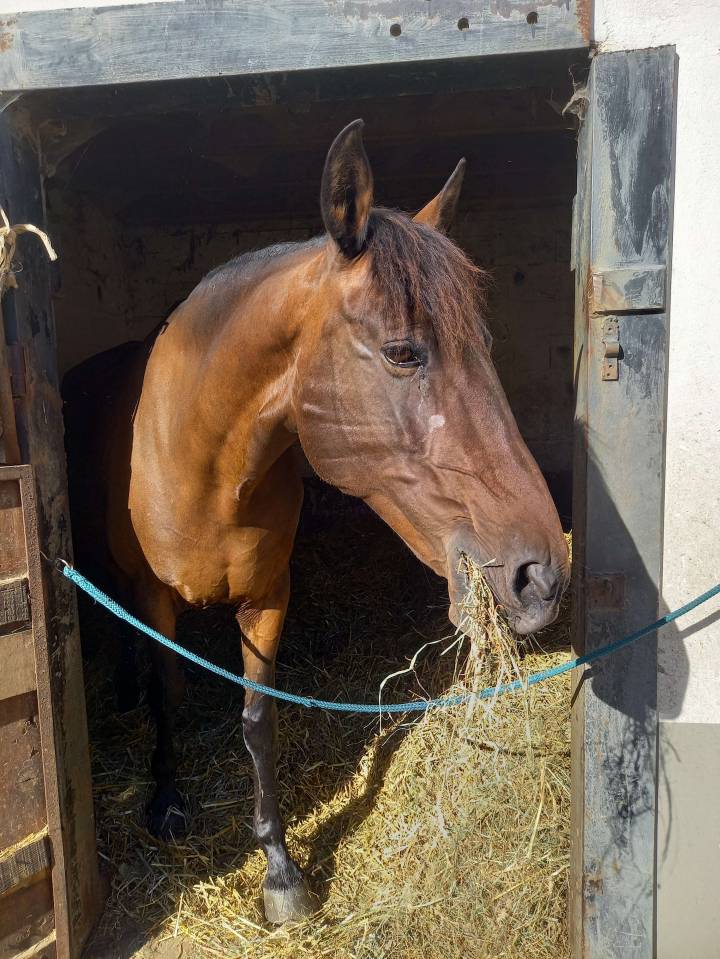 Recherche demie pension 