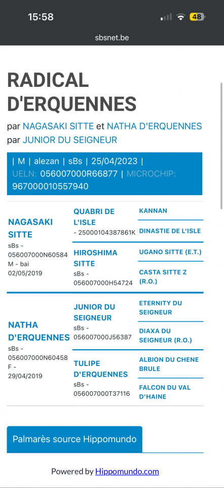 Poulain 3 an Junior du seigneur X Nagasaki sitte 