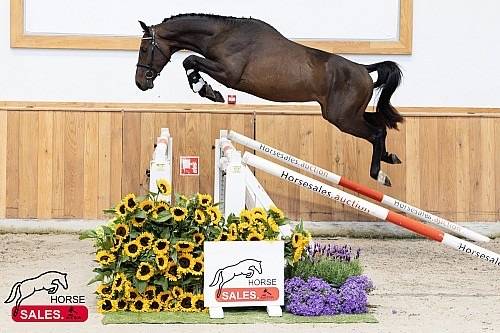 &Agrave; vendre 4 ans 