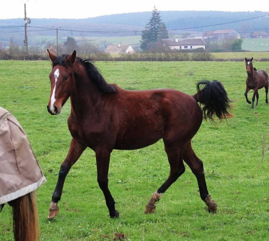  3 ans sport top papiers