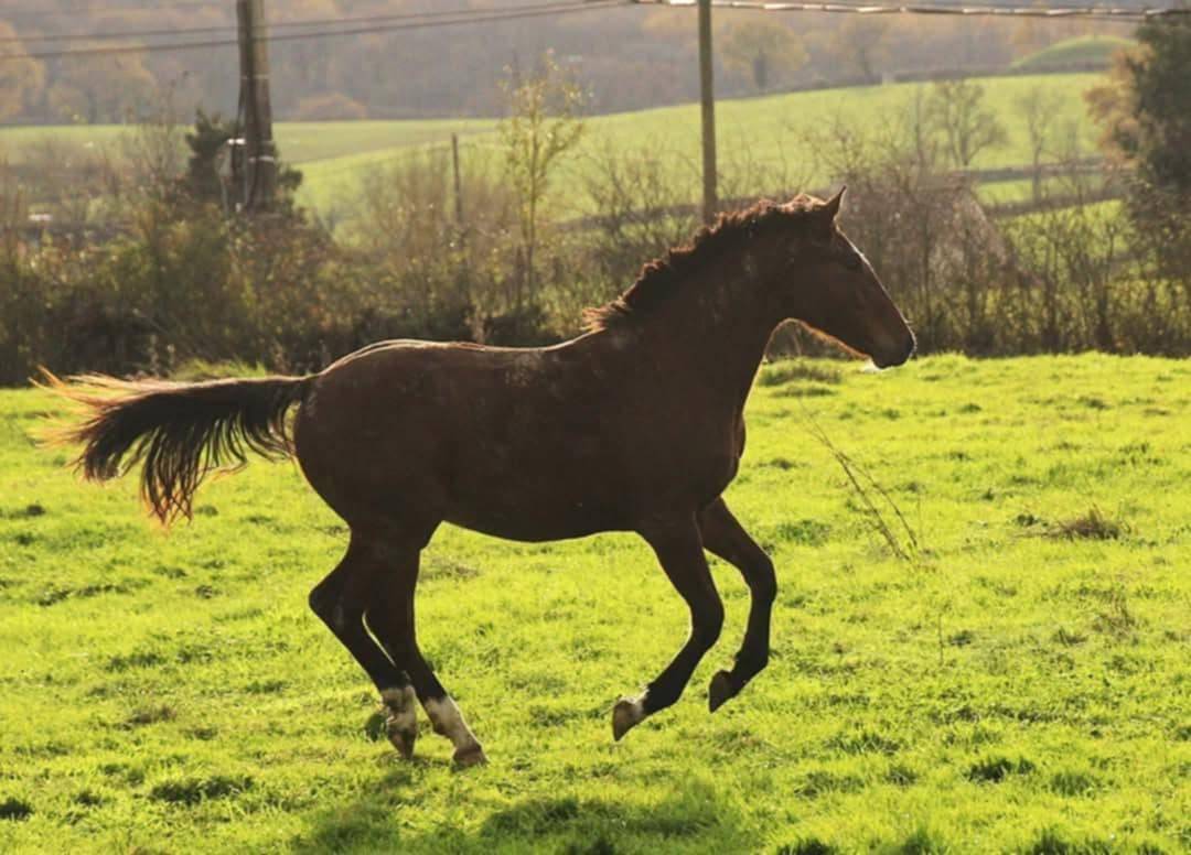  3 ans sport top papiers