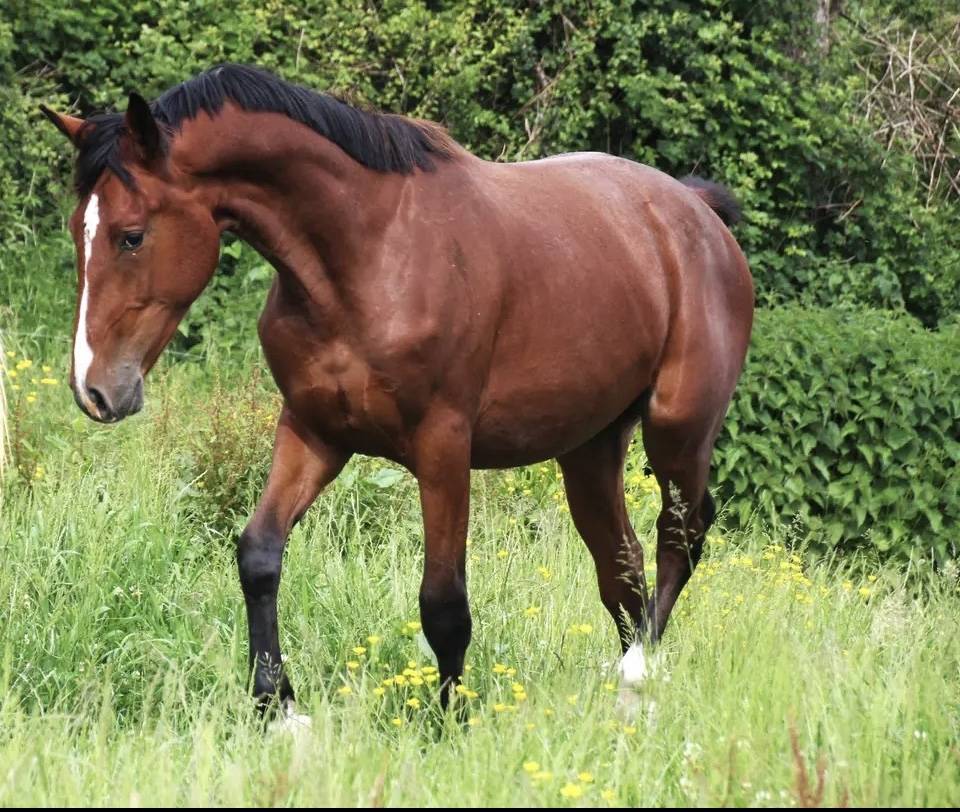  3 ans sport top papiers