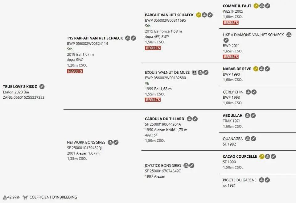  3 ans sport top papiers