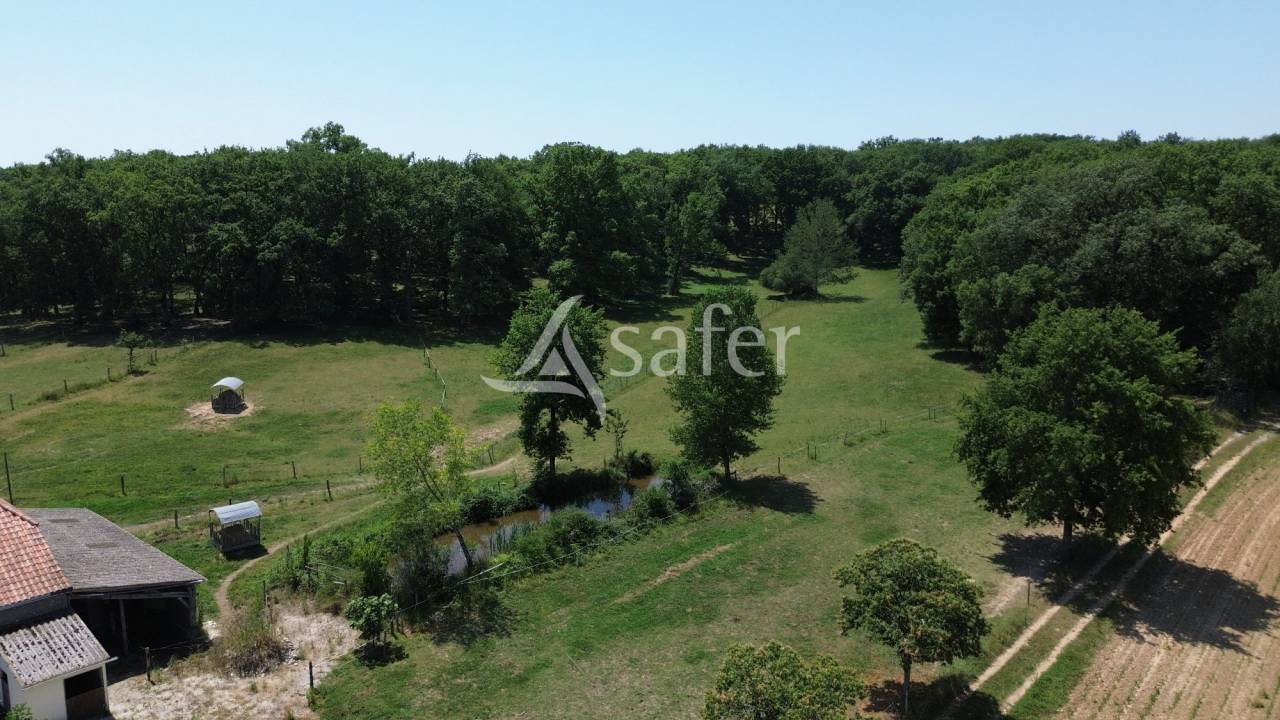Belle propri&eacute;t&eacute; agricole et &eacute;questre sur 19ha
