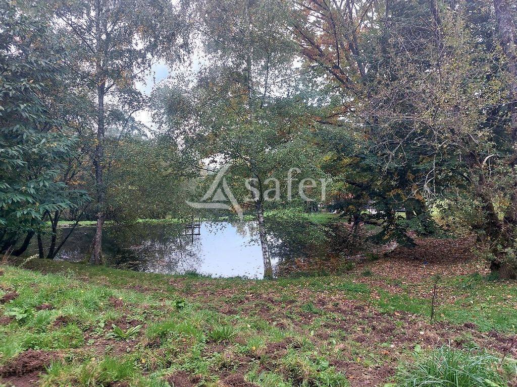 Au Nord de Limoges, ensemble de 2 ha &agrave; l'&eacute;cart du voisinage