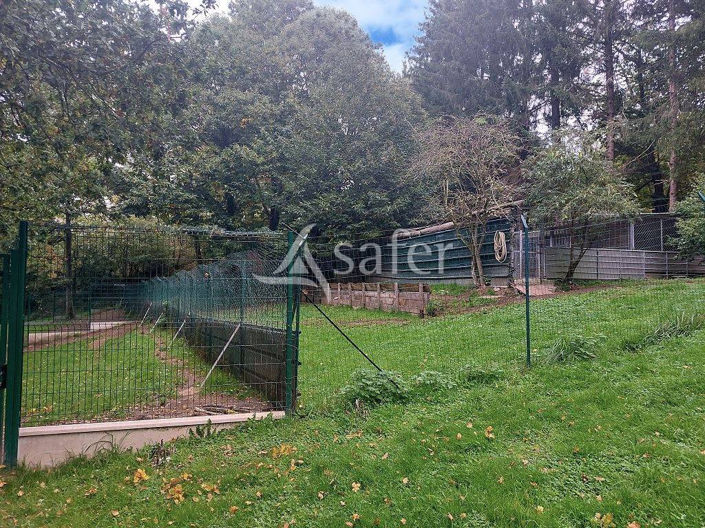 Au Nord de Limoges, ensemble de 2 ha &agrave; l'&eacute;cart du voisinage