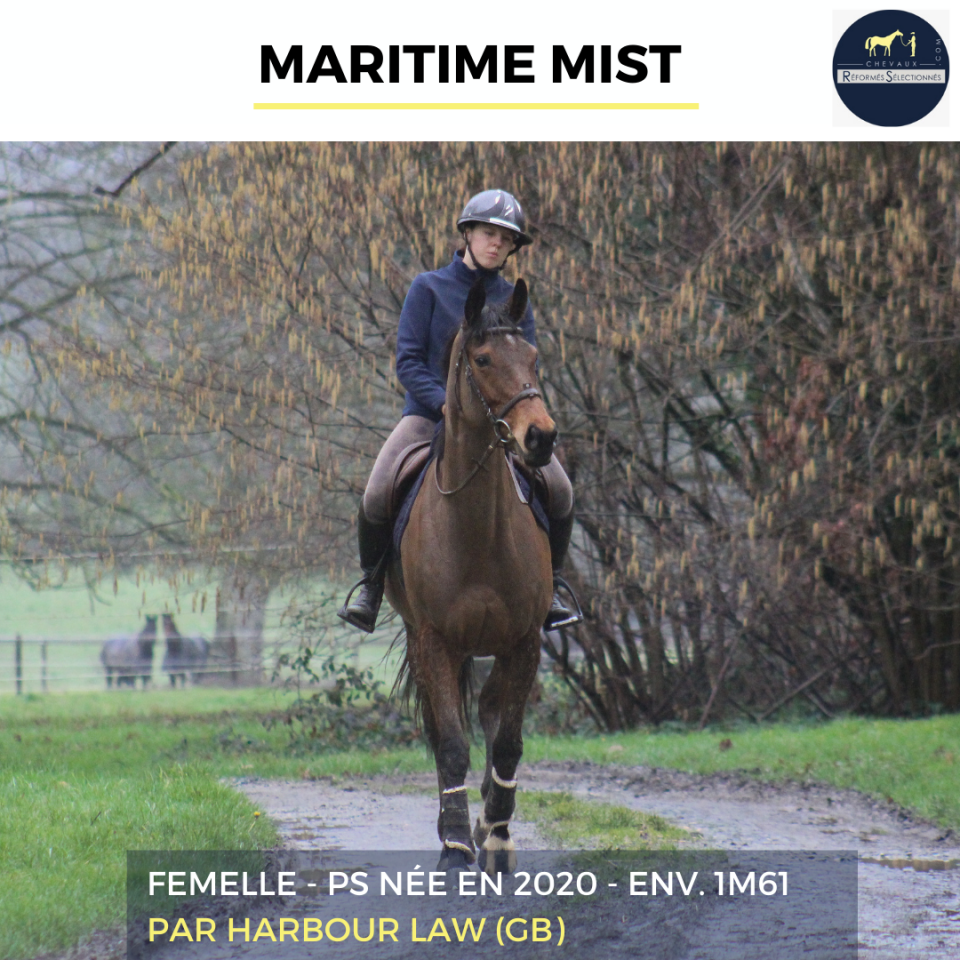 MARITIME MIST - PS - 6 ANS
