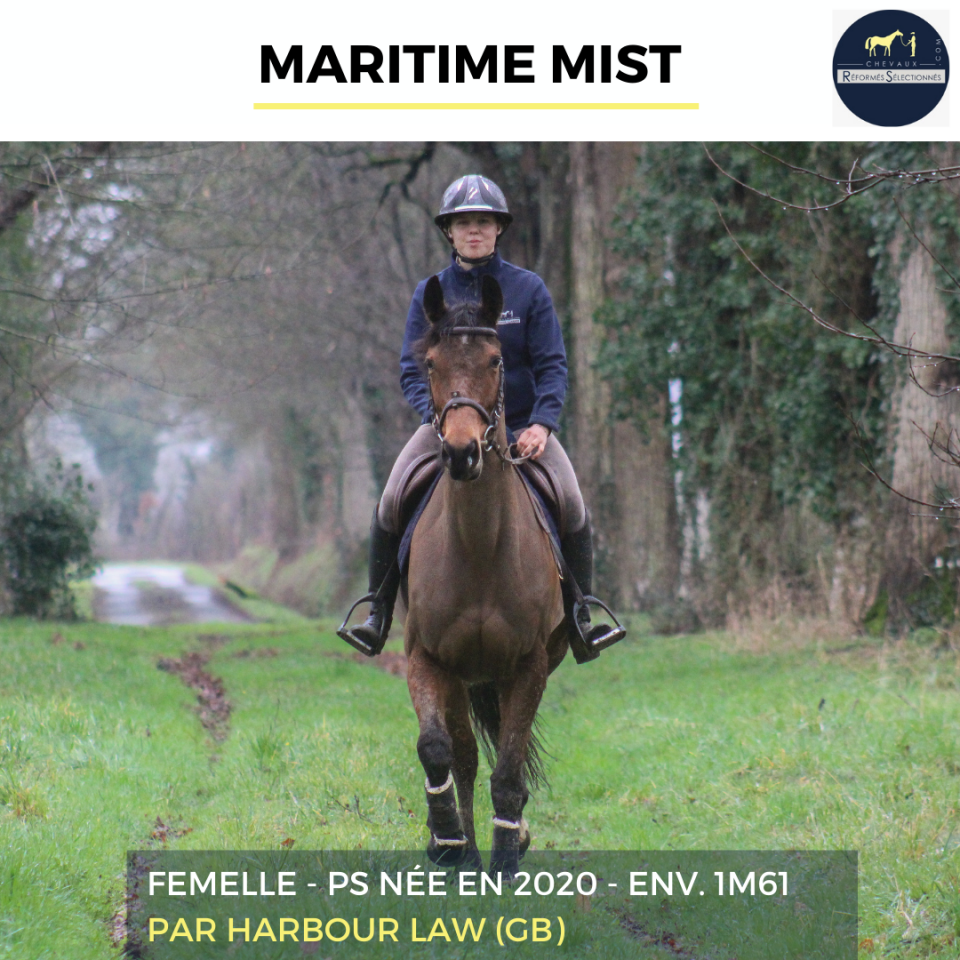 MARITIME MIST - PS - 6 ANS