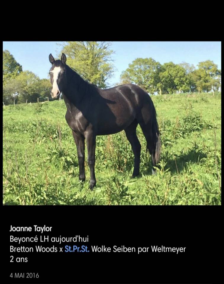 Top poulini&egrave;re 