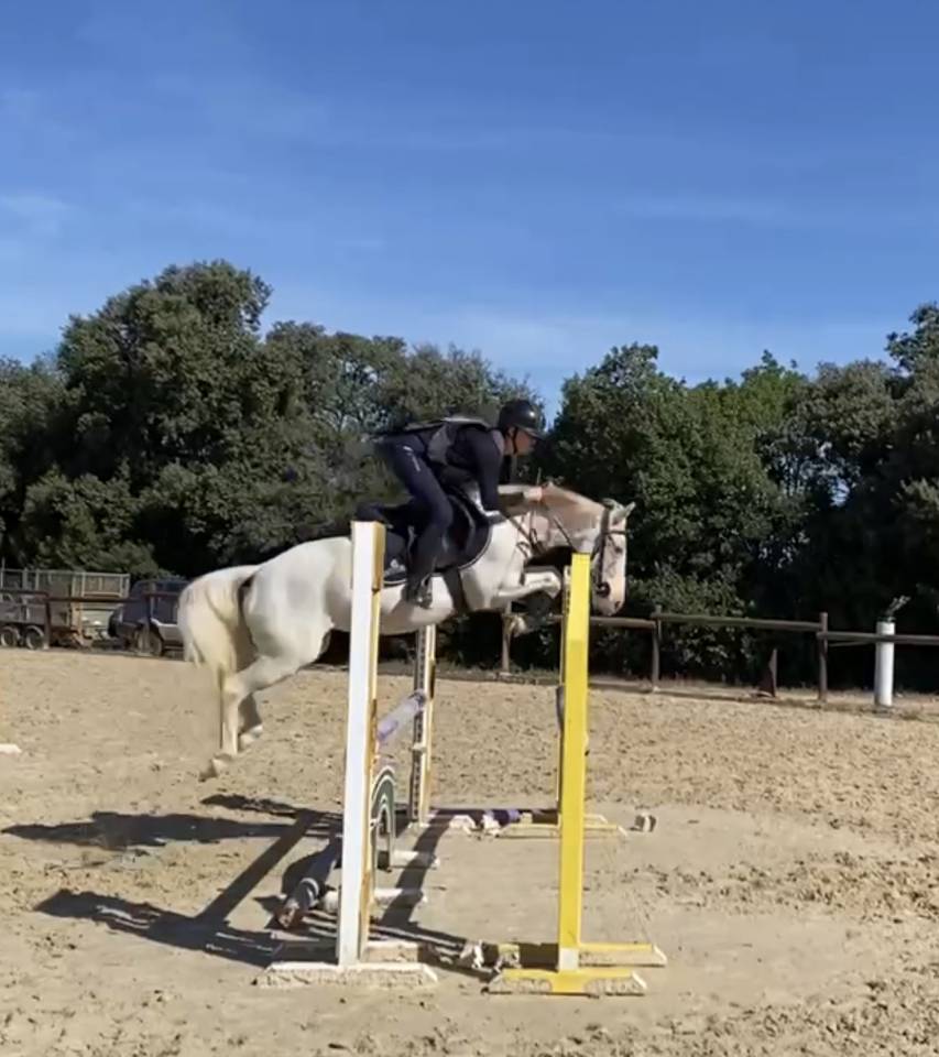 Ponette C &agrave; vendre 