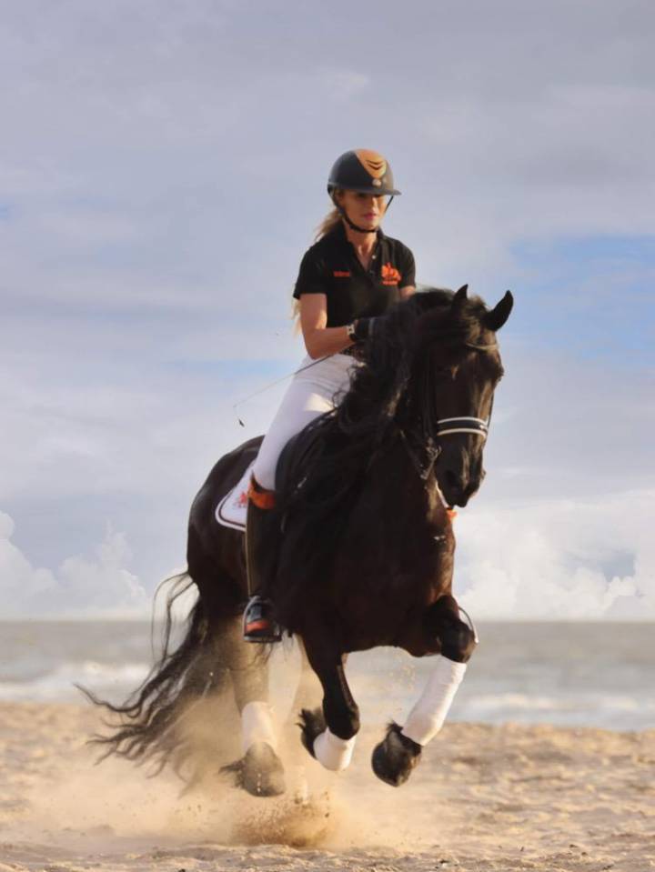 Poulini&egrave;re frisonne pleins papiers gestante