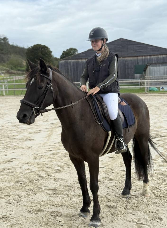 Poney &agrave; louer ou confier 