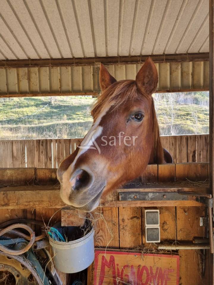 B&acirc;timent d'&eacute;levage avec habitation autonome sur 1,3 ha proch