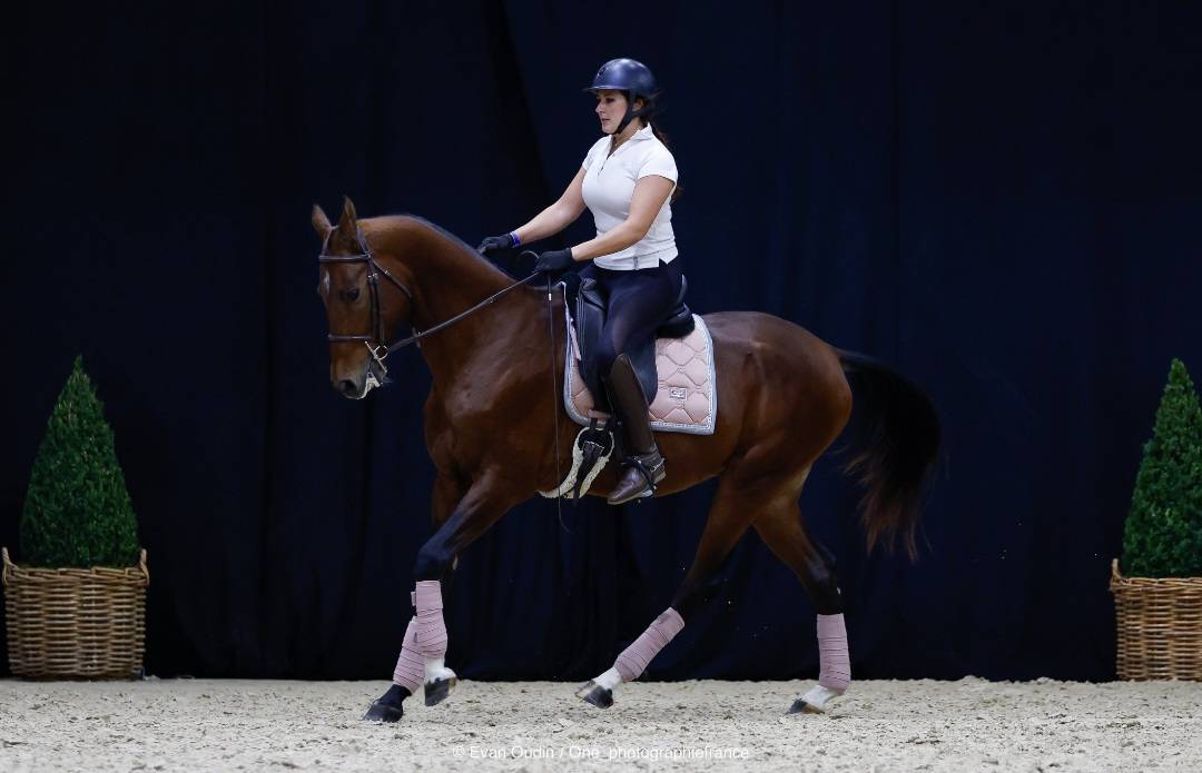 &Eacute;talon Akhal-Tek&eacute; origines prestigieuses 