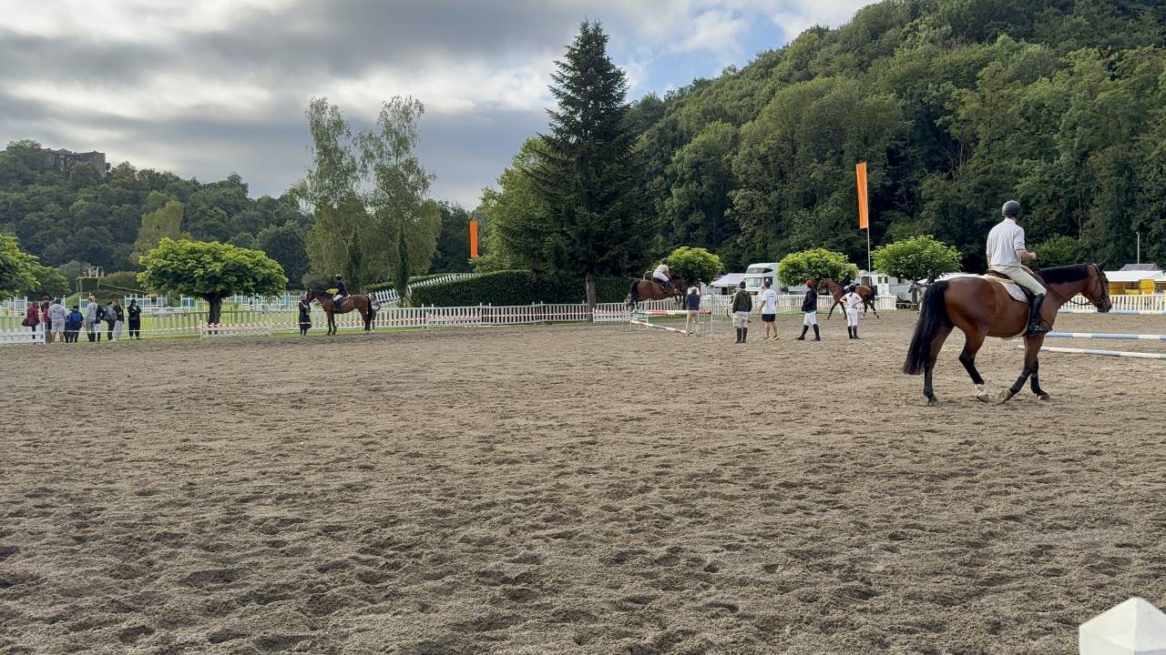 Jument - SF - CSO/CCE 