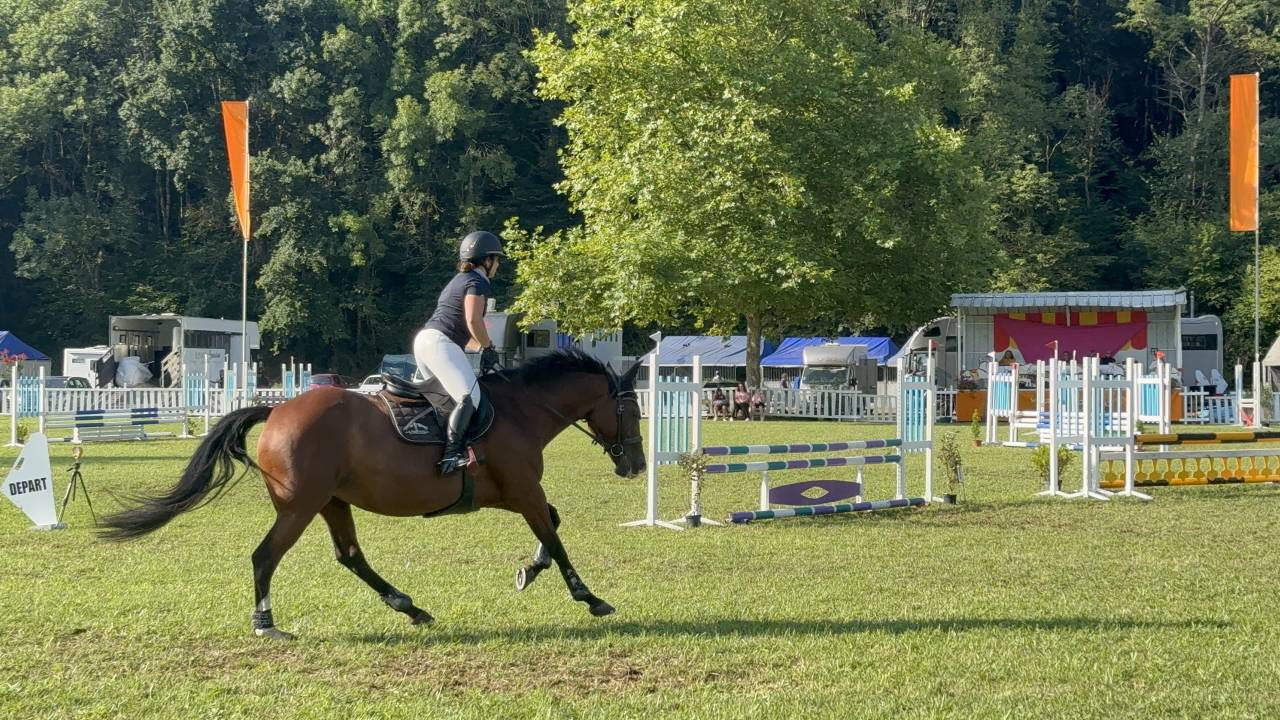 Jument - SF - CSO/CCE 